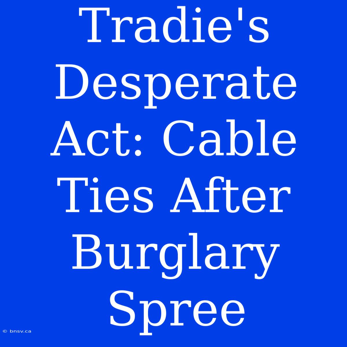 Tradie's Desperate Act: Cable Ties After Burglary Spree