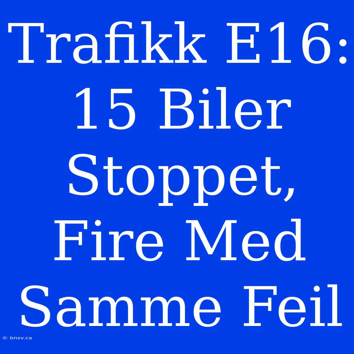 Trafikk E16: 15 Biler Stoppet, Fire Med Samme Feil