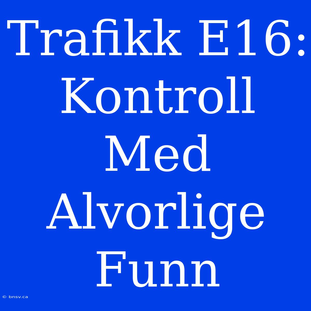 Trafikk E16: Kontroll Med Alvorlige Funn