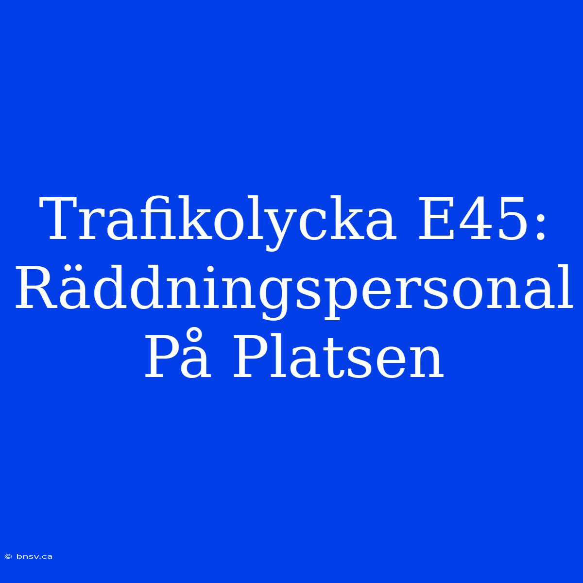 Trafikolycka E45: Räddningspersonal På Platsen