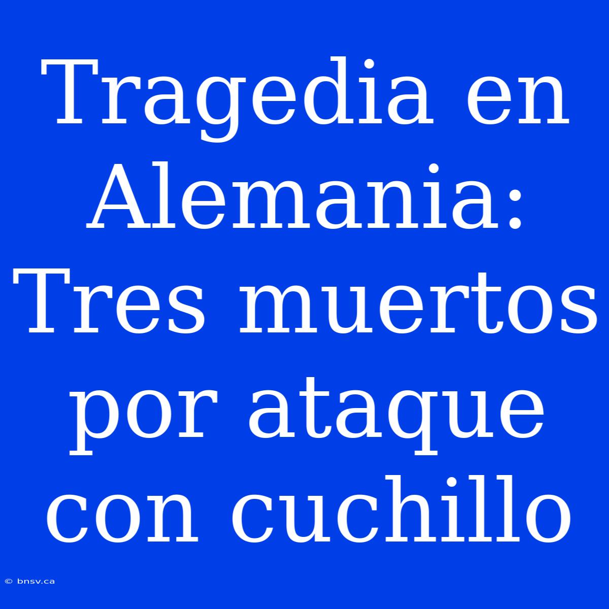 Tragedia En Alemania: Tres Muertos Por Ataque Con Cuchillo