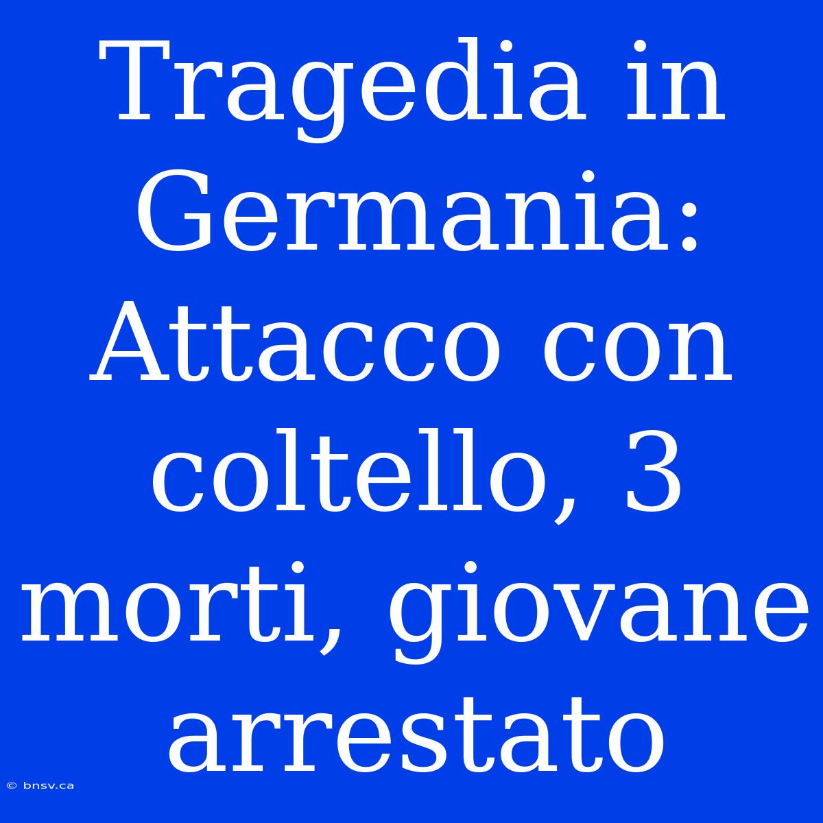 Tragedia In Germania: Attacco Con Coltello, 3 Morti, Giovane Arrestato