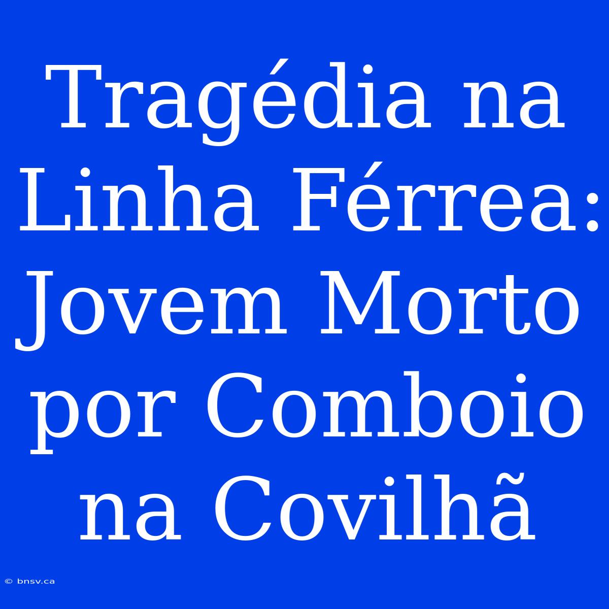 Tragédia Na Linha Férrea: Jovem Morto Por Comboio Na Covilhã