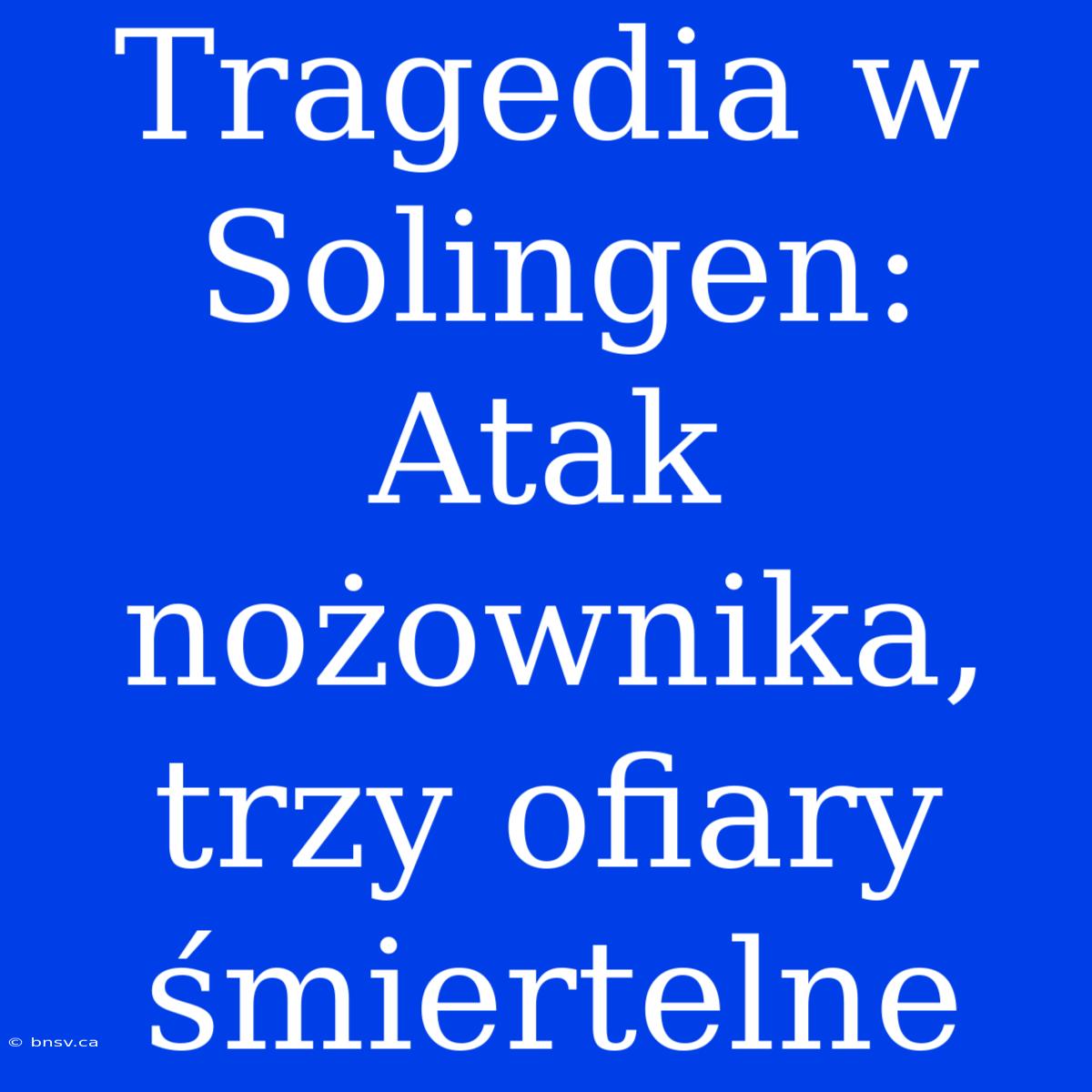 Tragedia W Solingen: Atak Nożownika, Trzy Ofiary Śmiertelne