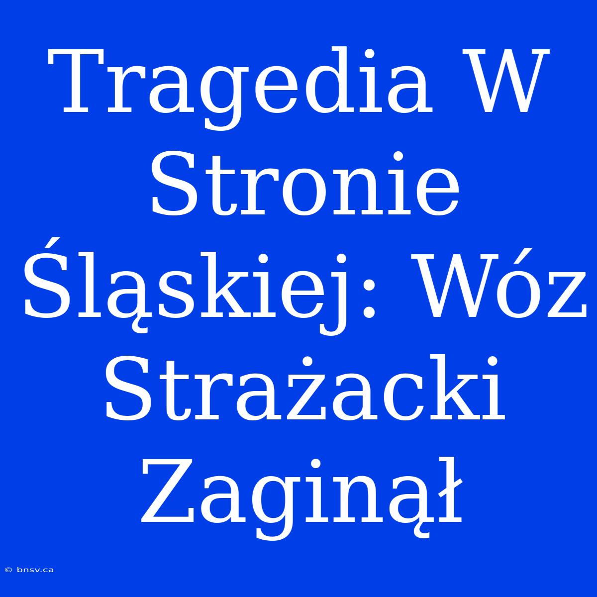 Tragedia W Stronie Śląskiej: Wóz Strażacki Zaginął