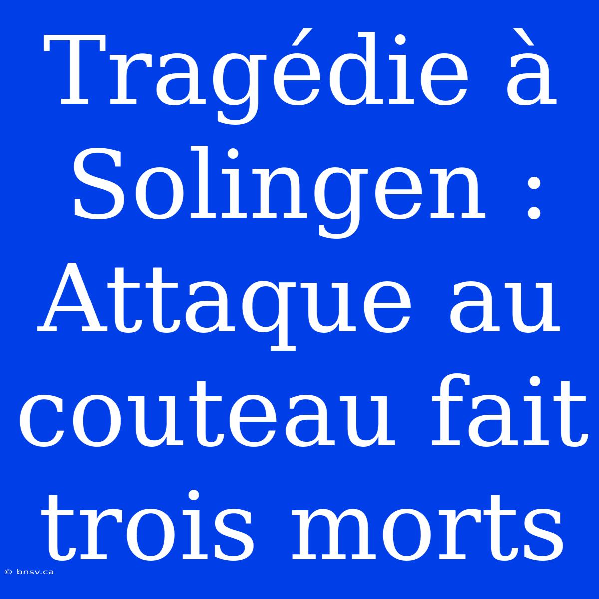 Tragédie À Solingen : Attaque Au Couteau Fait Trois Morts