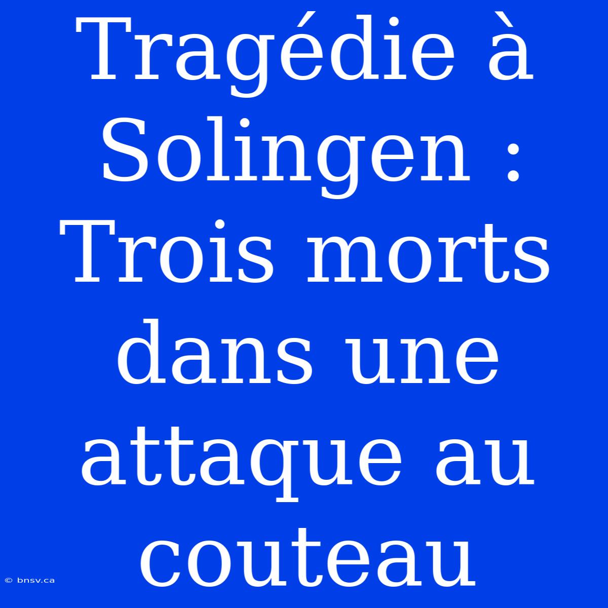 Tragédie À Solingen : Trois Morts Dans Une Attaque Au Couteau