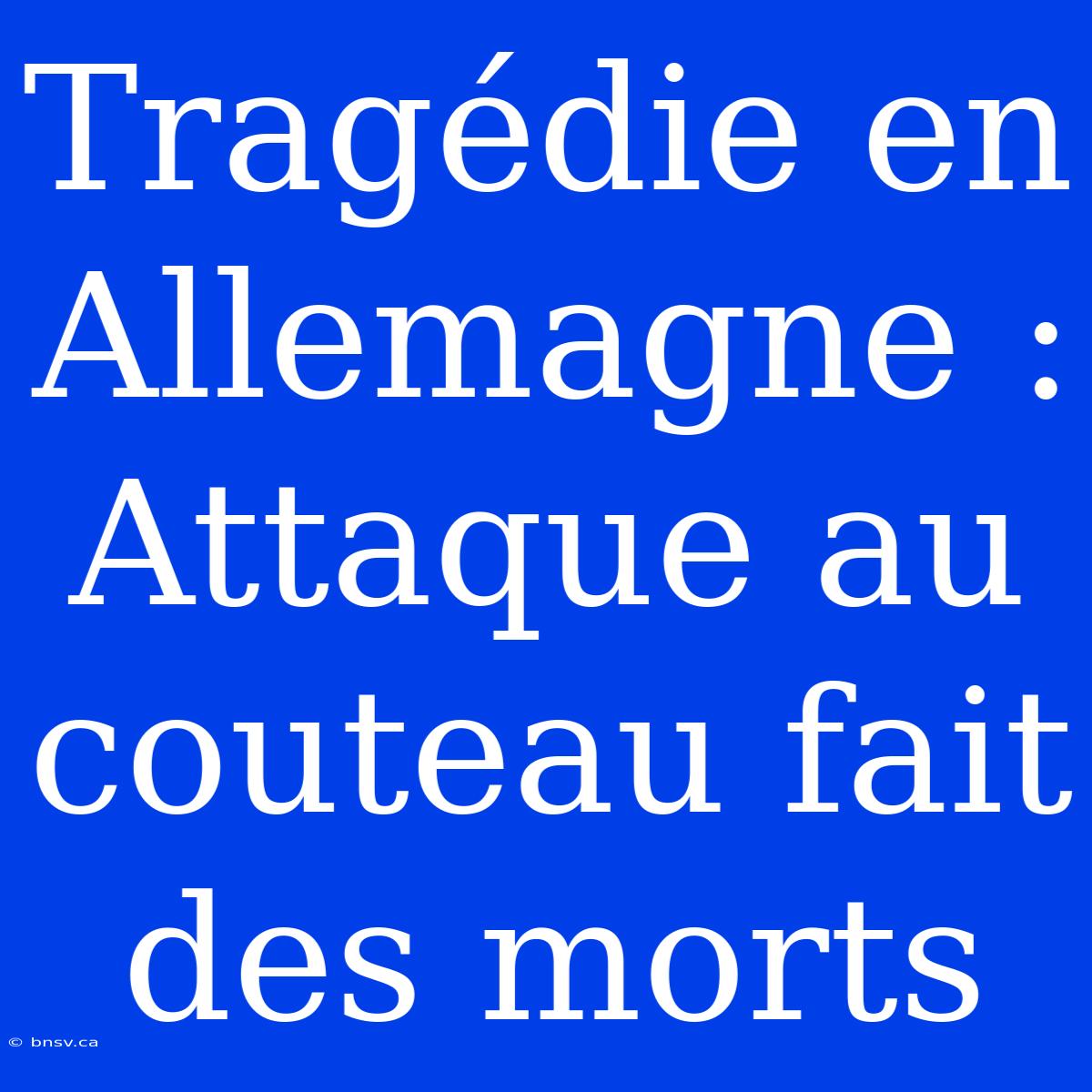 Tragédie En Allemagne : Attaque Au Couteau Fait Des Morts