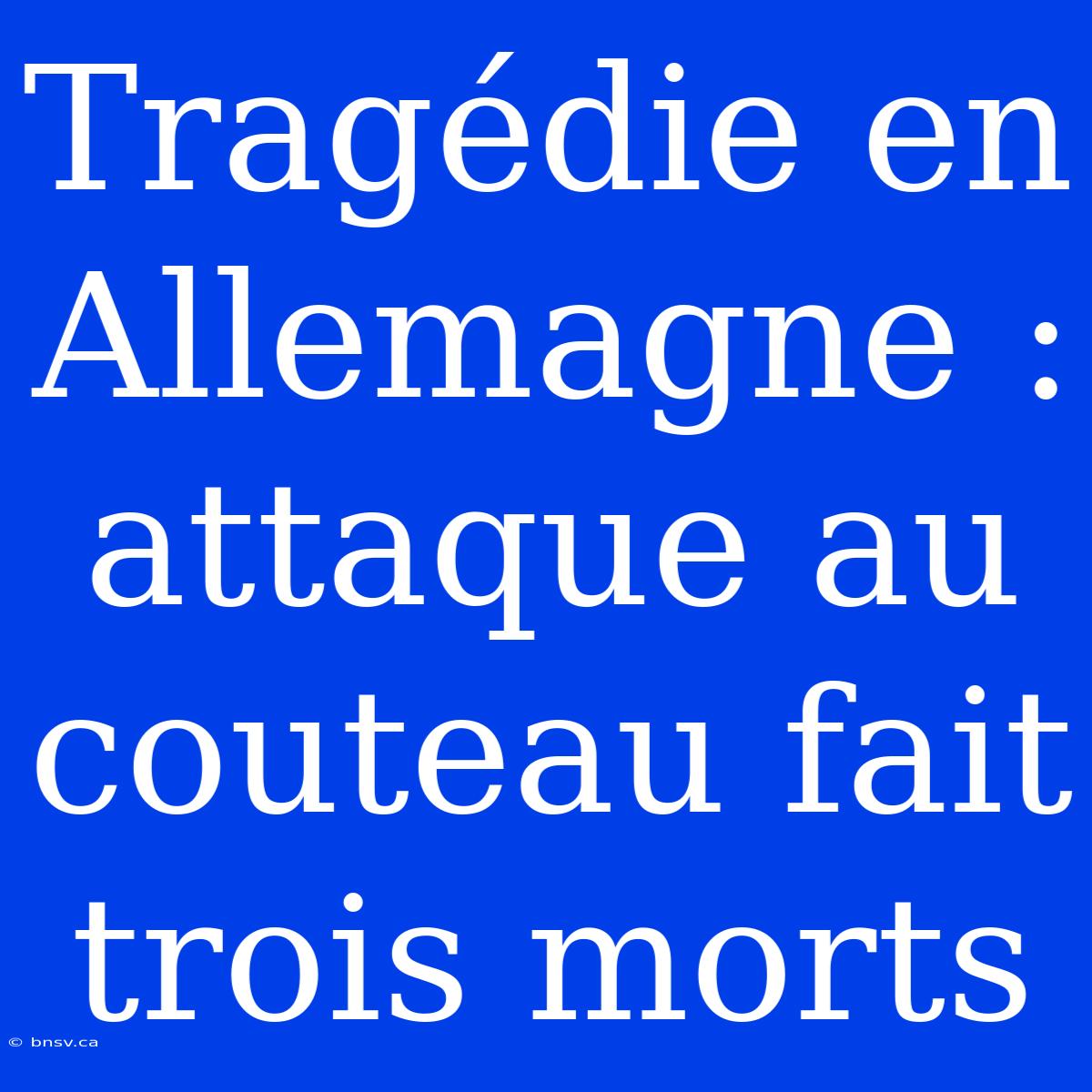 Tragédie En Allemagne : Attaque Au Couteau Fait Trois Morts