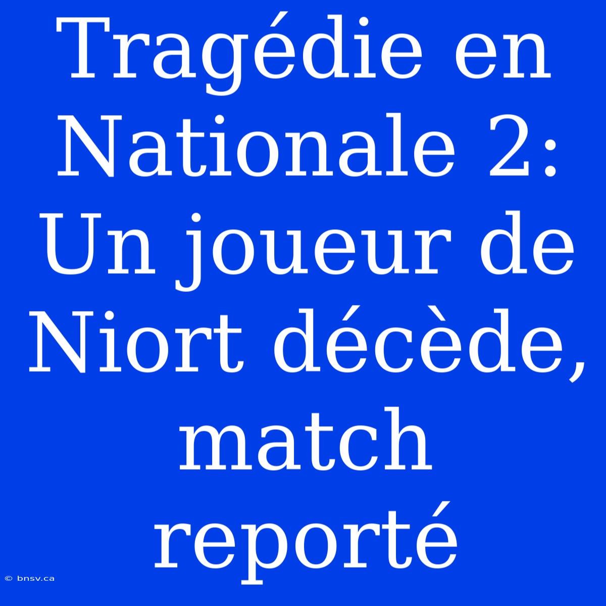 Tragédie En Nationale 2: Un Joueur De Niort Décède, Match Reporté