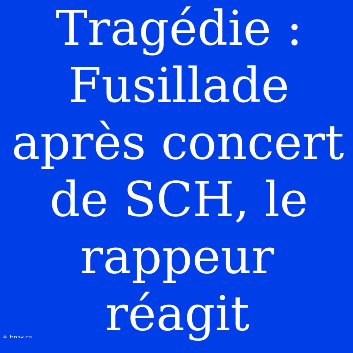 Tragédie : Fusillade Après Concert De SCH, Le Rappeur Réagit