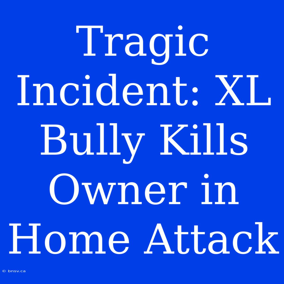 Tragic Incident: XL Bully Kills Owner In Home Attack