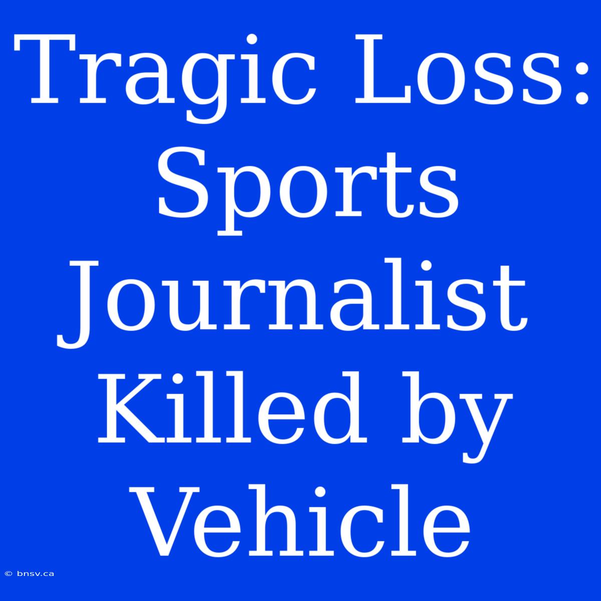 Tragic Loss: Sports Journalist Killed By Vehicle