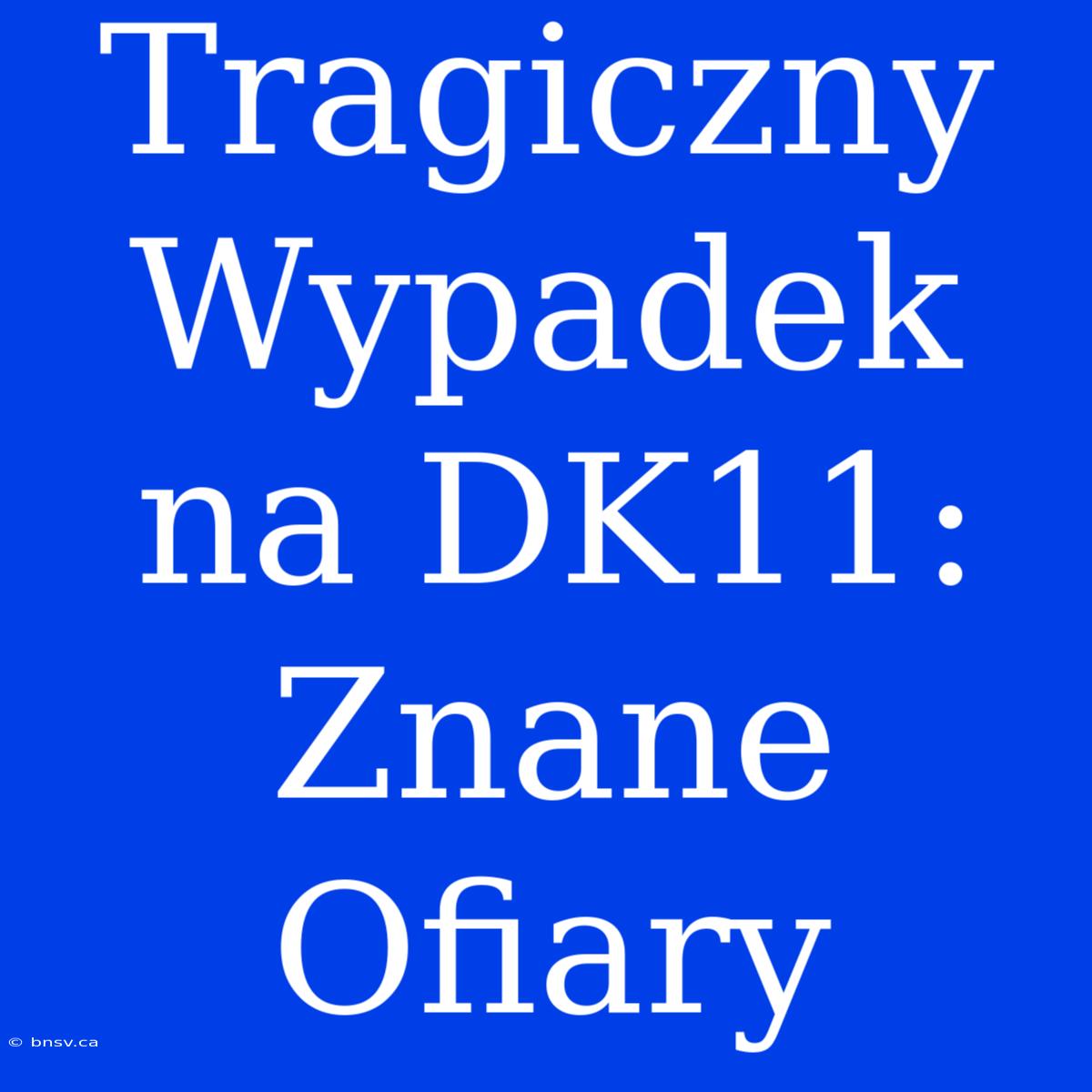 Tragiczny Wypadek Na DK11:  Znane Ofiary