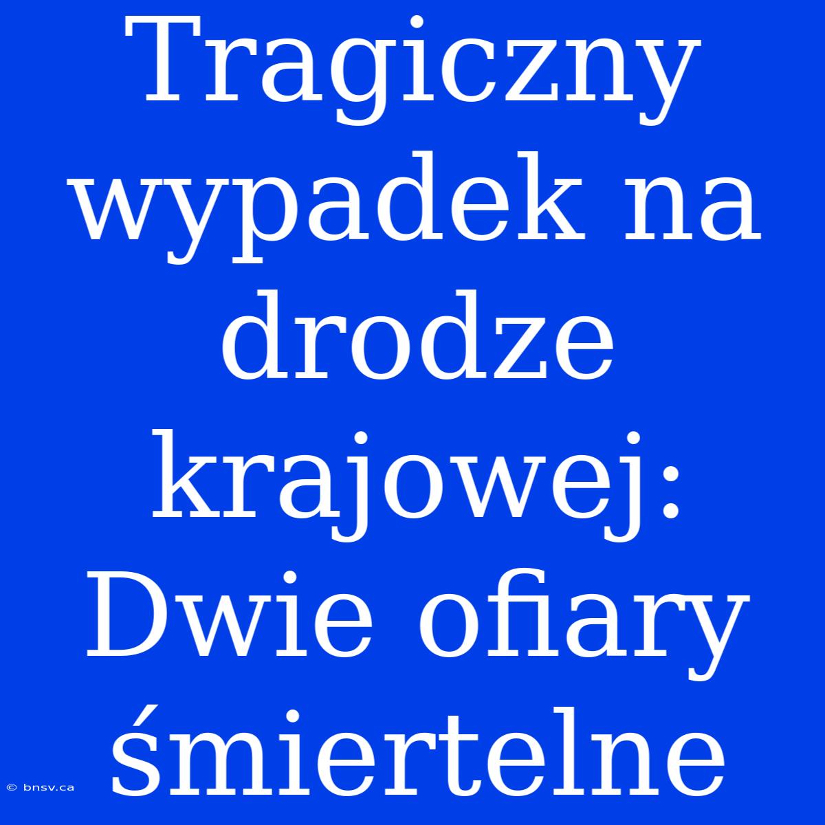 Tragiczny Wypadek Na Drodze Krajowej: Dwie Ofiary Śmiertelne