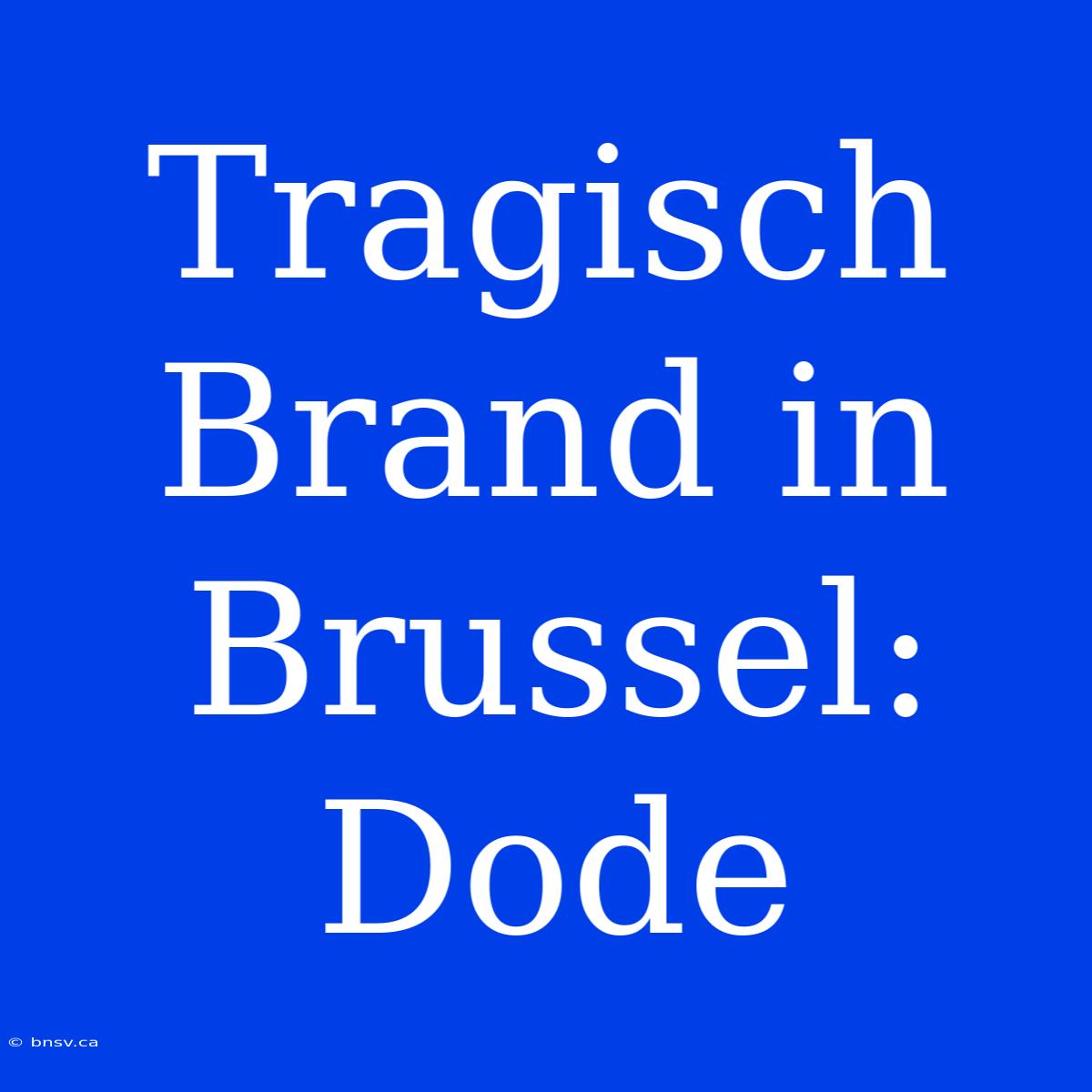 Tragisch Brand In Brussel: Dode