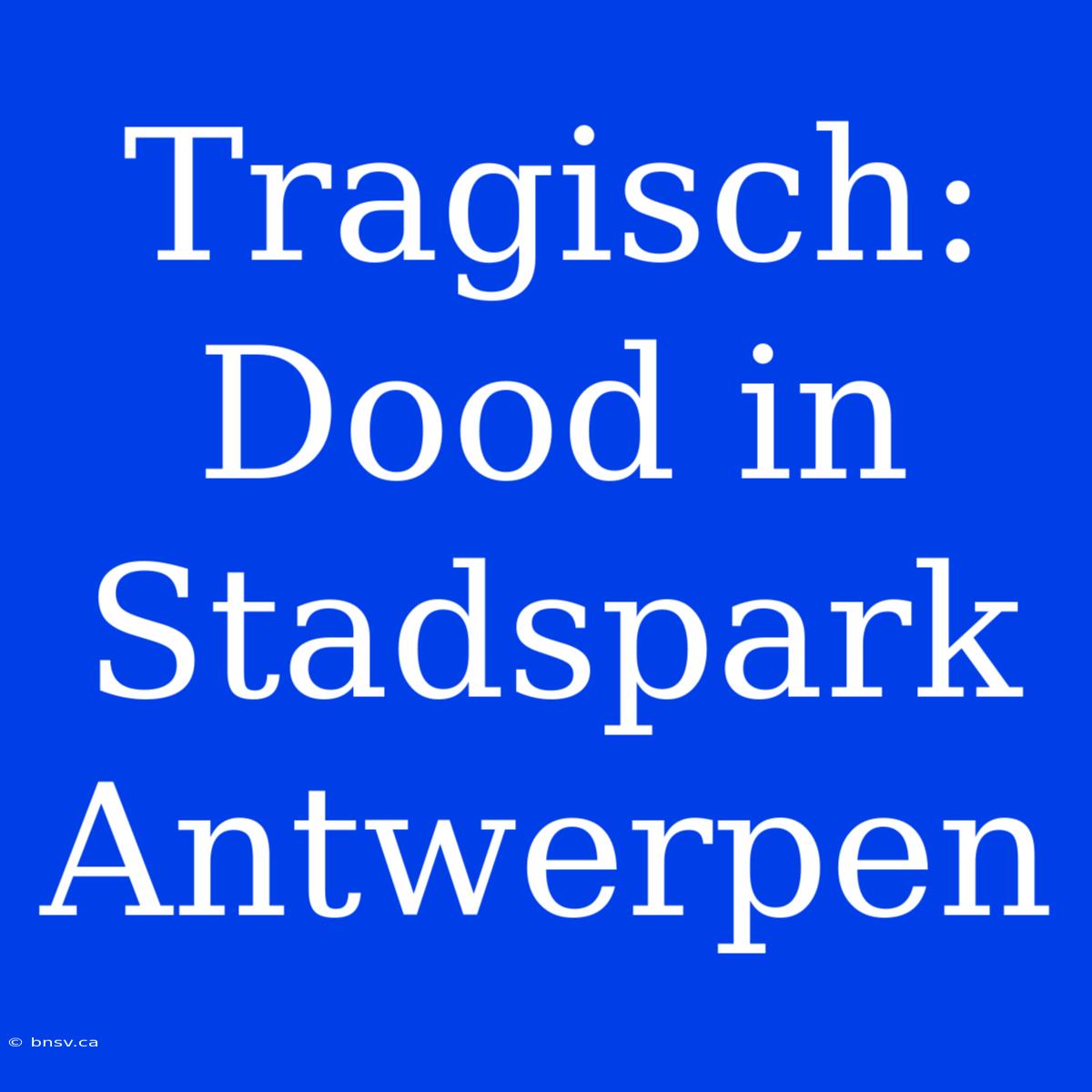 Tragisch: Dood In Stadspark Antwerpen