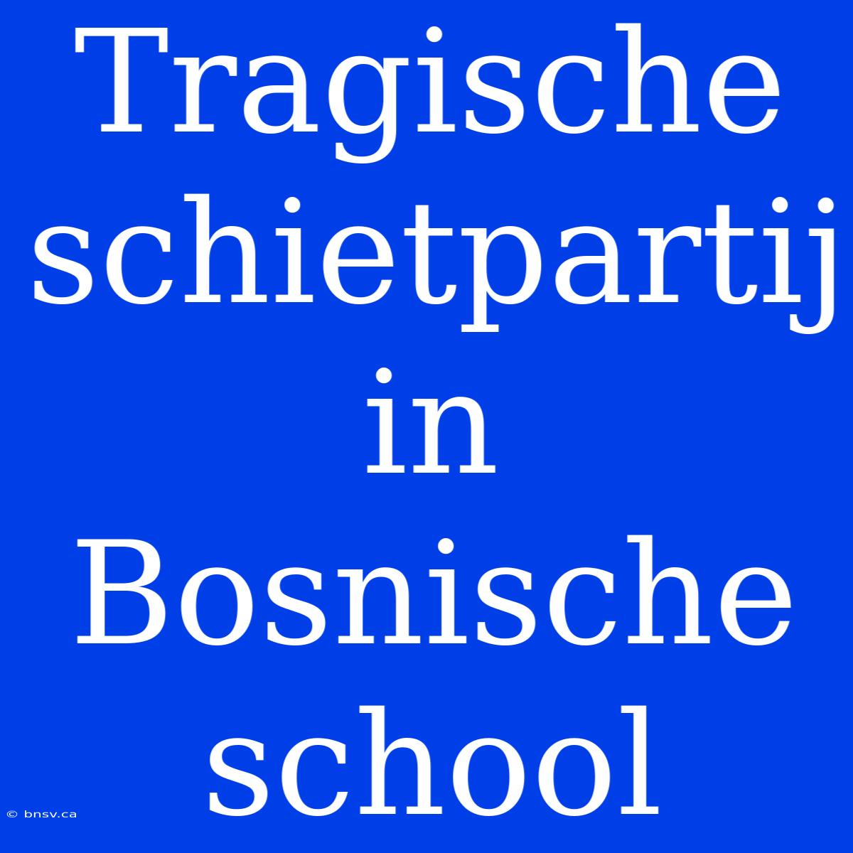 Tragische Schietpartij In Bosnische School