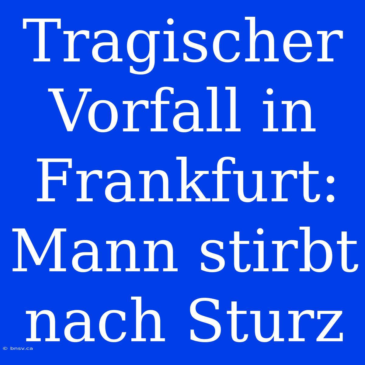 Tragischer Vorfall In Frankfurt: Mann Stirbt Nach Sturz