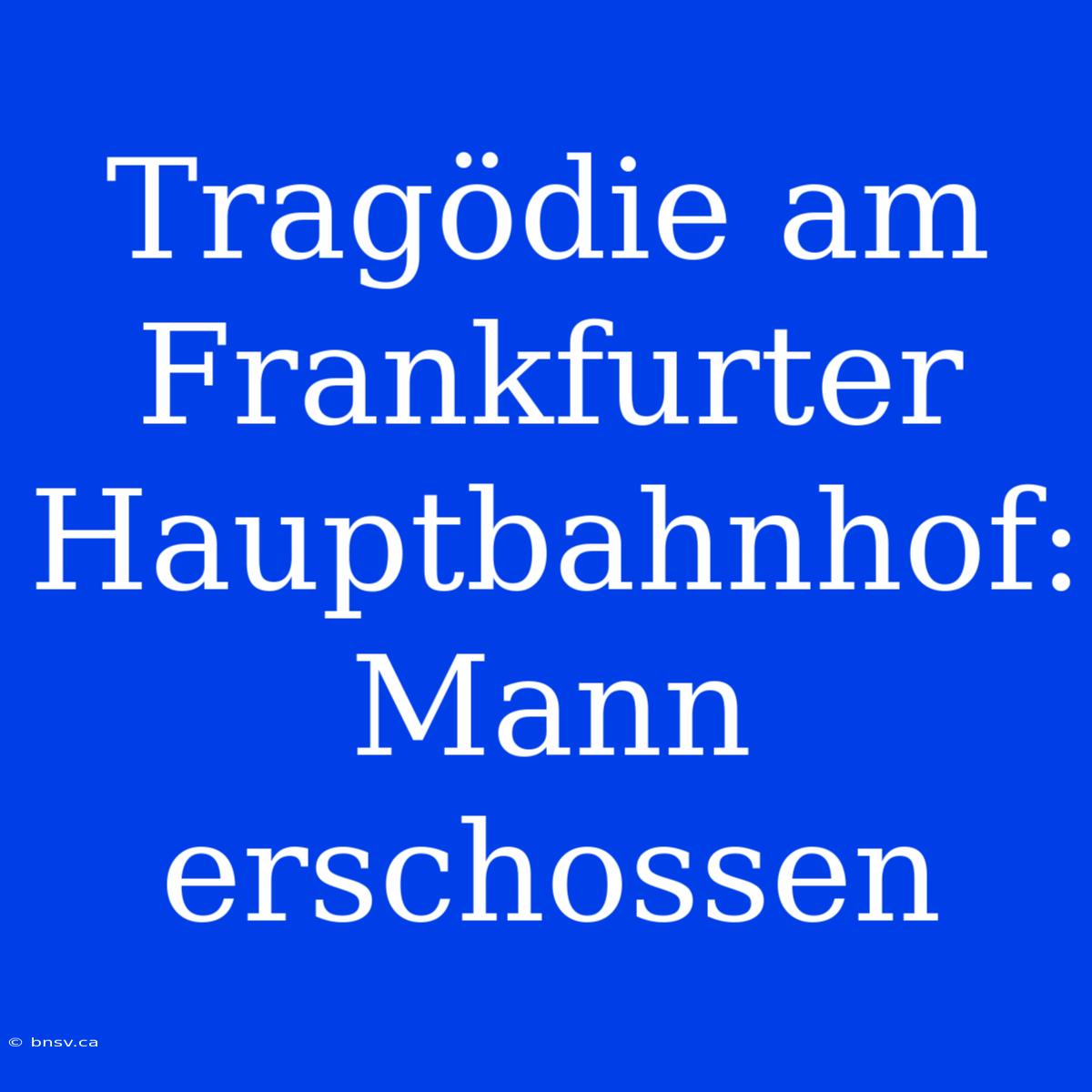 Tragödie Am Frankfurter Hauptbahnhof: Mann Erschossen