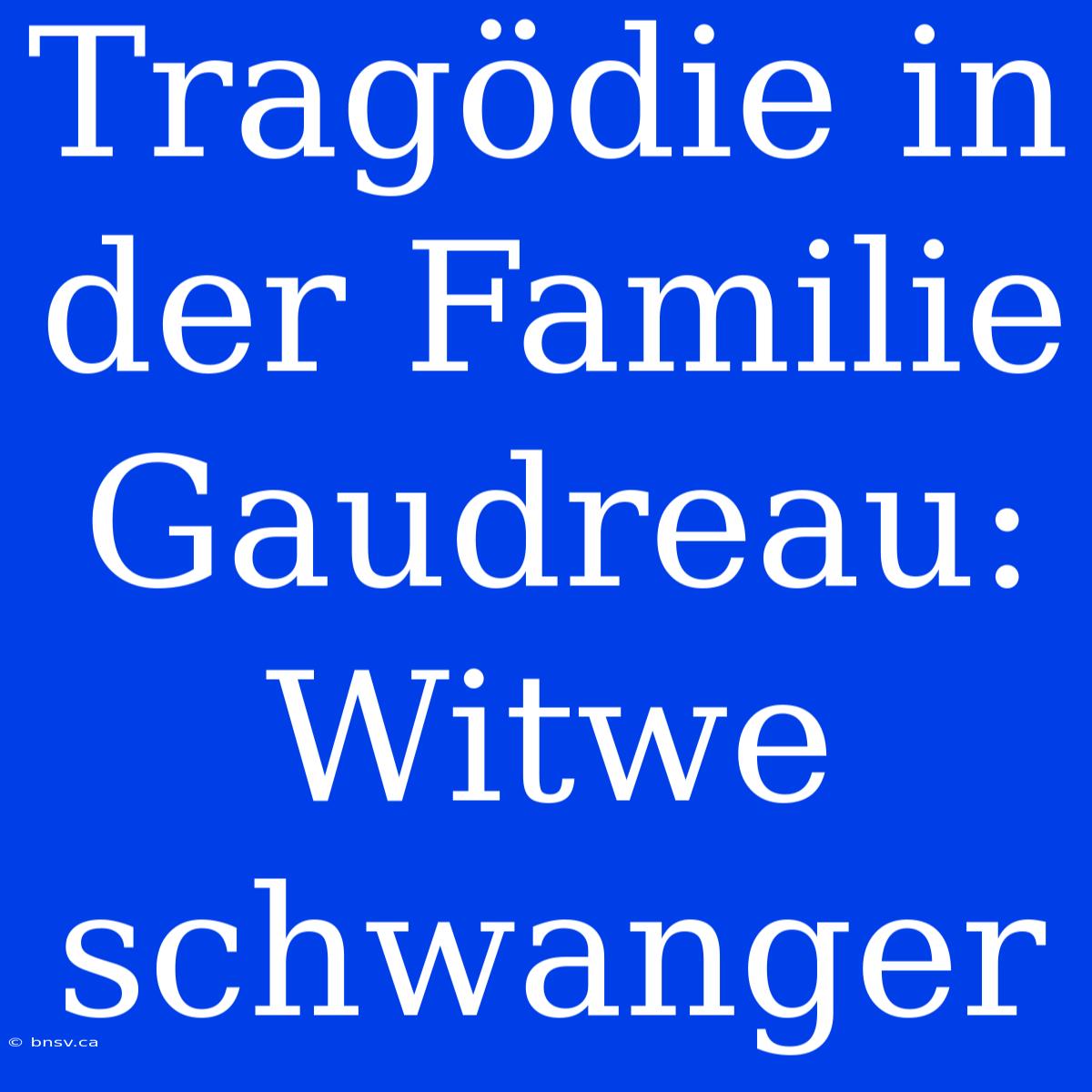 Tragödie In Der Familie Gaudreau: Witwe Schwanger