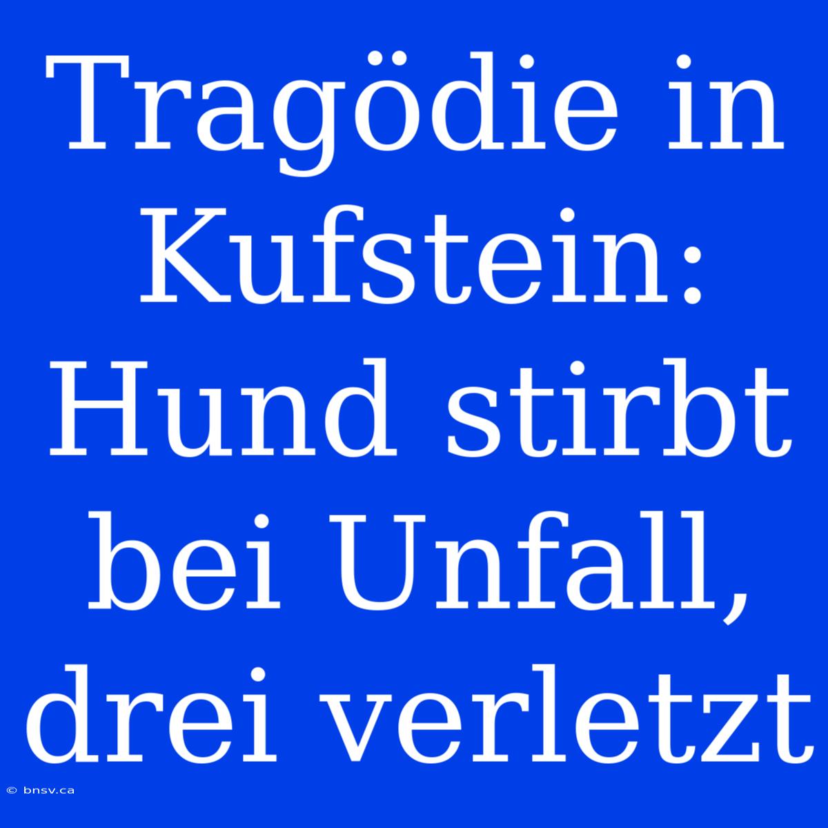 Tragödie In Kufstein: Hund Stirbt Bei Unfall, Drei Verletzt