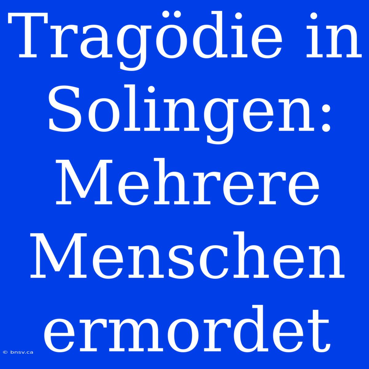 Tragödie In Solingen: Mehrere Menschen Ermordet