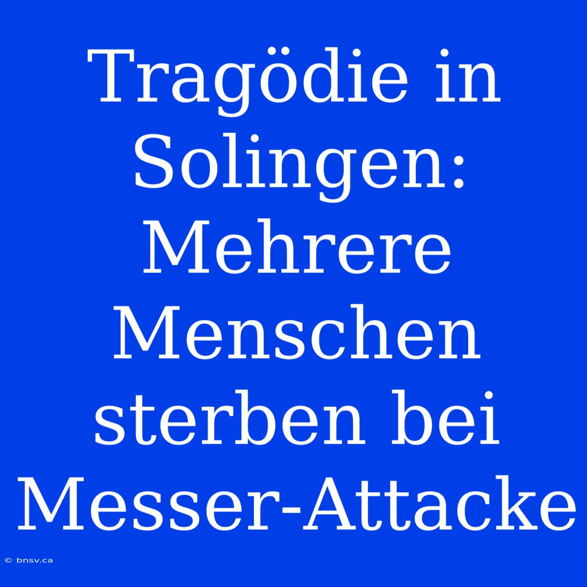 Tragödie In Solingen: Mehrere Menschen Sterben Bei Messer-Attacke