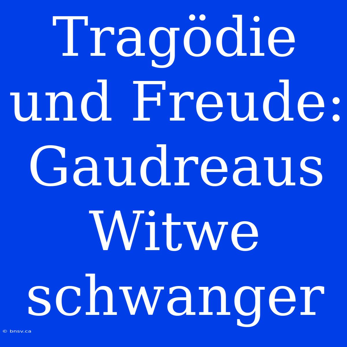 Tragödie Und Freude: Gaudreaus Witwe Schwanger