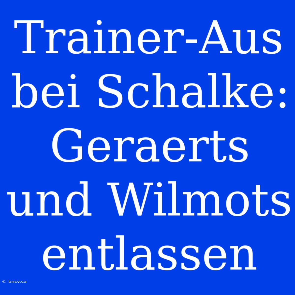 Trainer-Aus Bei Schalke: Geraerts Und Wilmots Entlassen