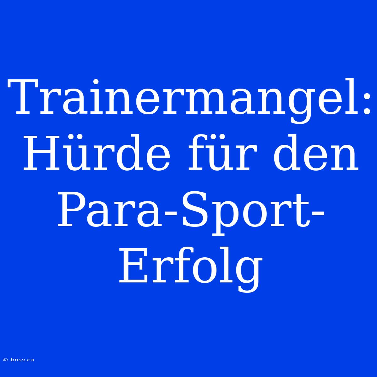 Trainermangel: Hürde Für Den Para-Sport-Erfolg