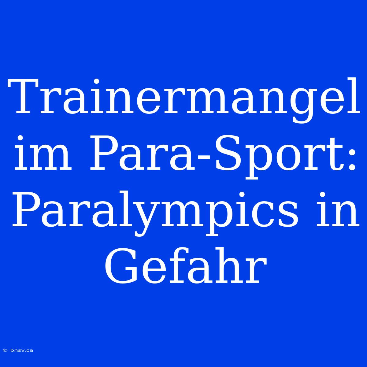 Trainermangel Im Para-Sport: Paralympics In Gefahr