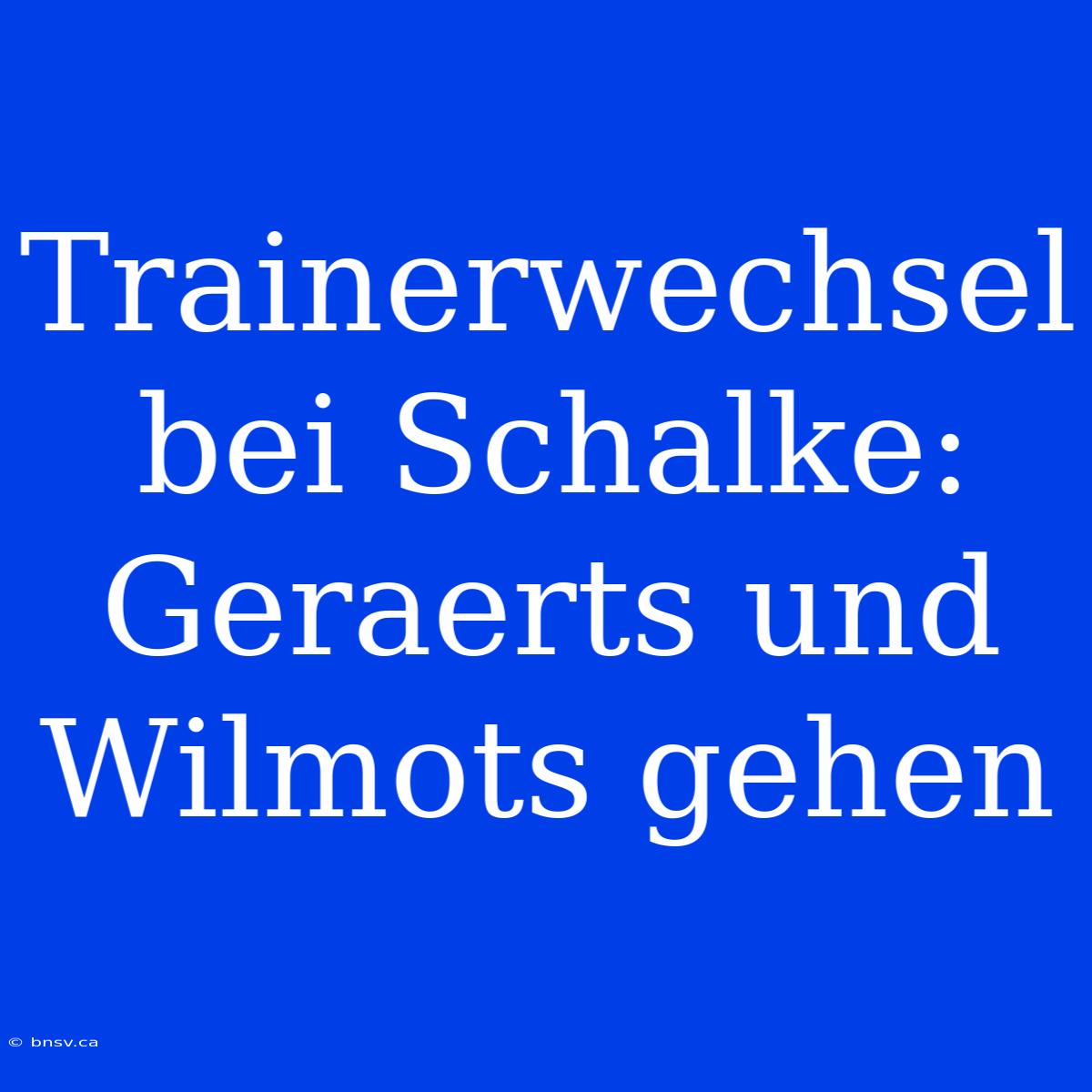 Trainerwechsel Bei Schalke: Geraerts Und Wilmots Gehen