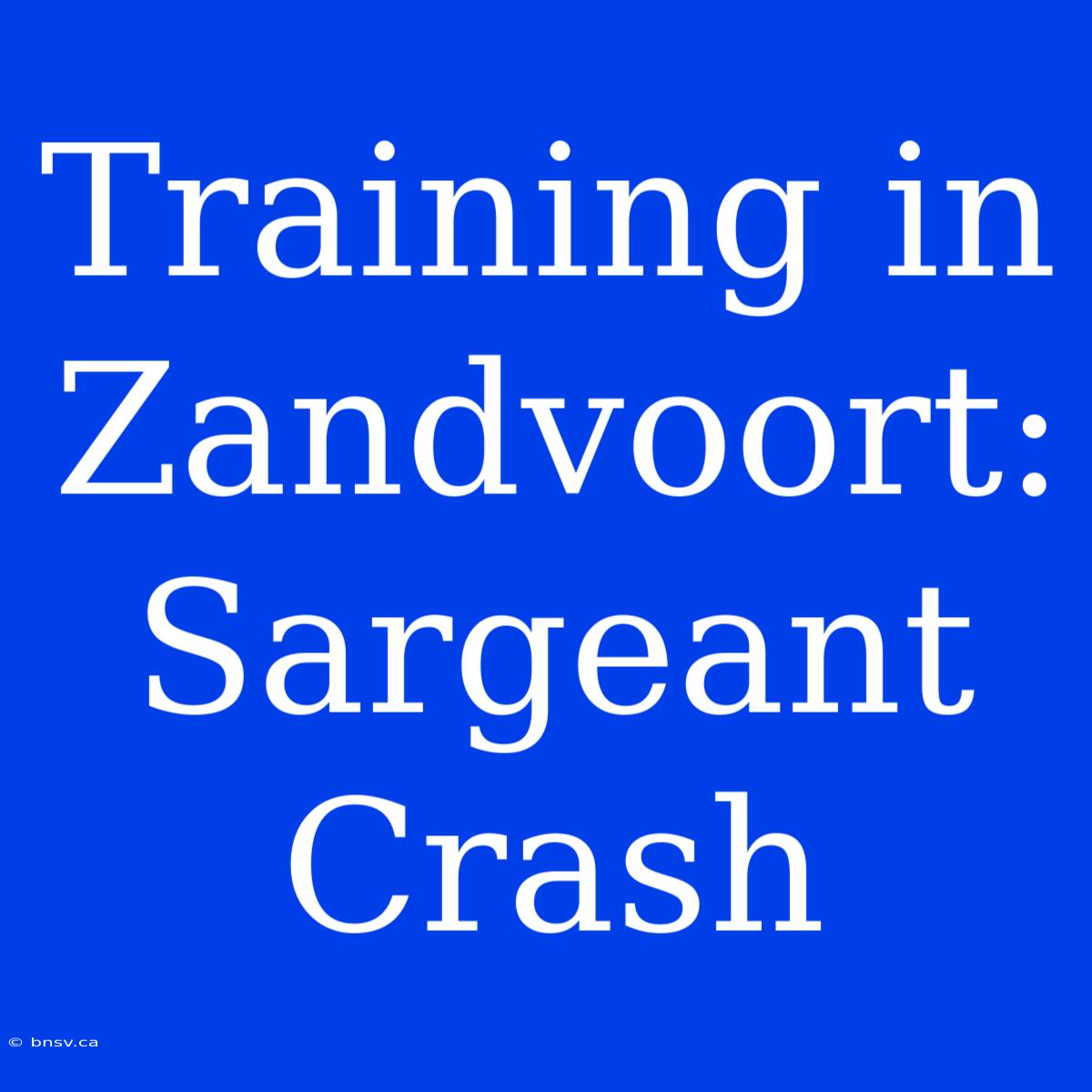 Training In Zandvoort: Sargeant Crash