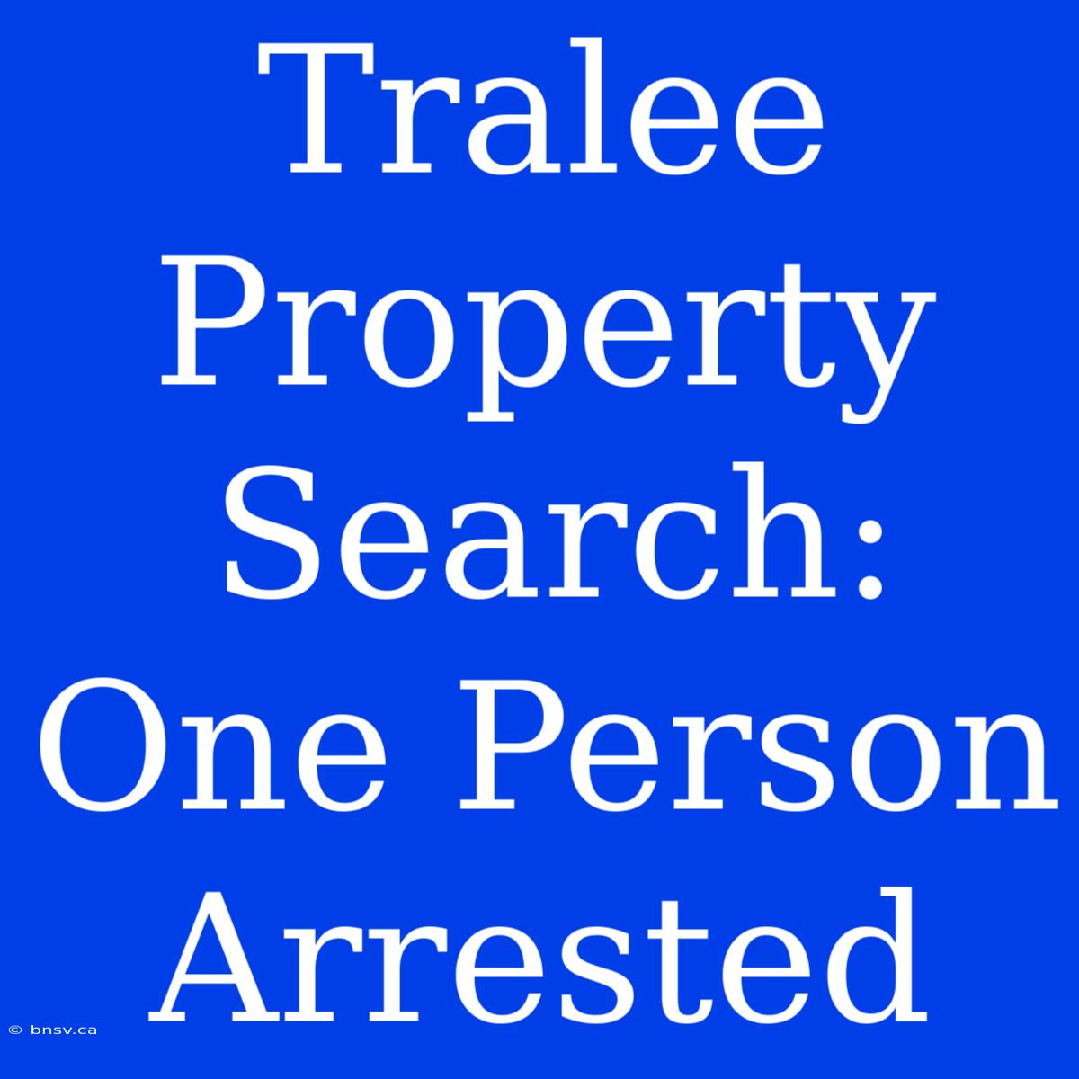 Tralee Property Search: One Person Arrested