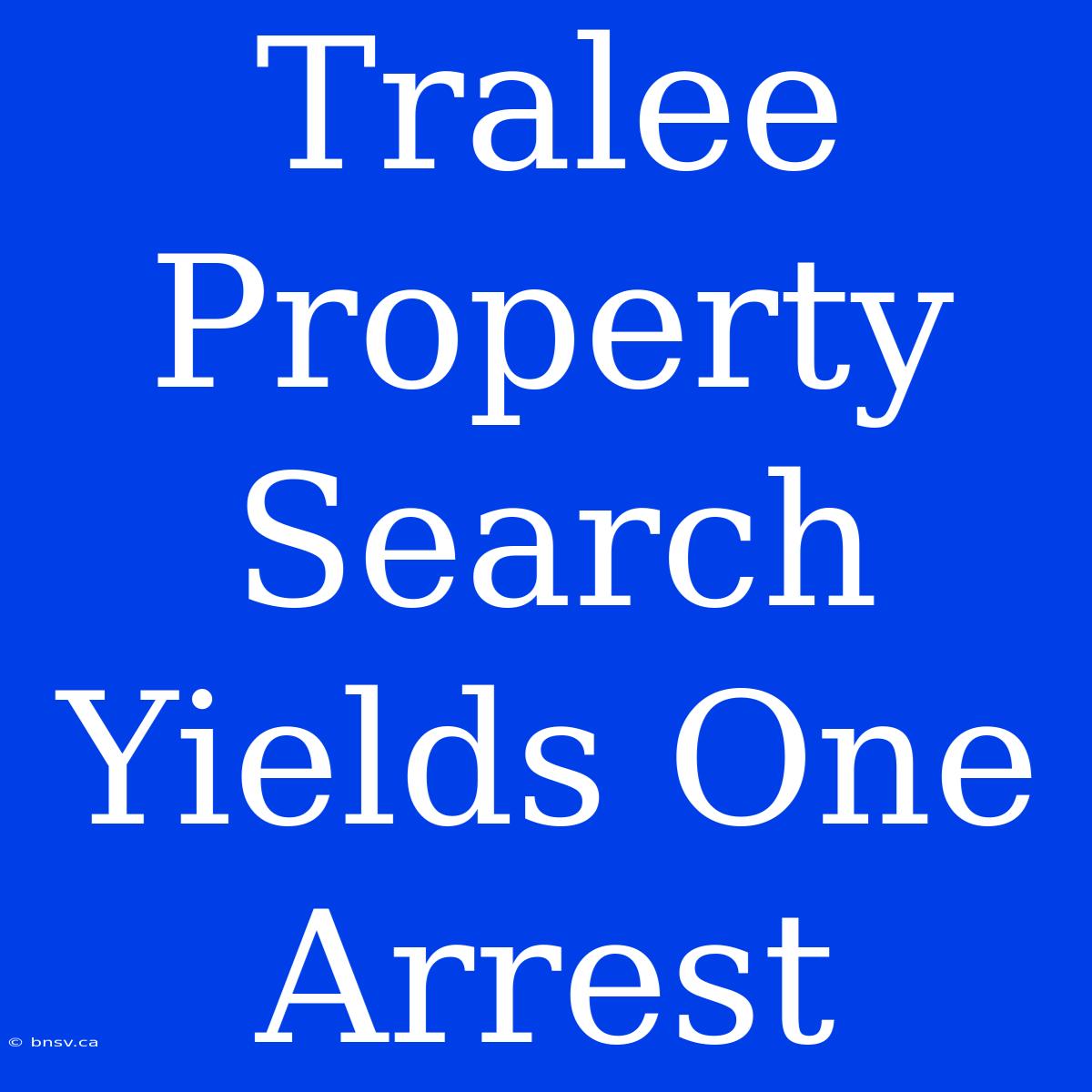 Tralee Property Search Yields One Arrest