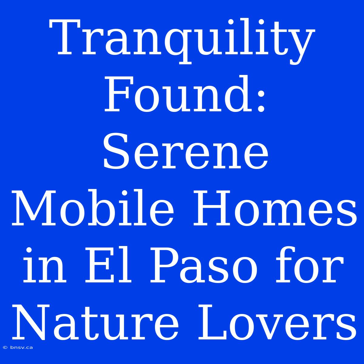 Tranquility Found: Serene Mobile Homes In El Paso For Nature Lovers