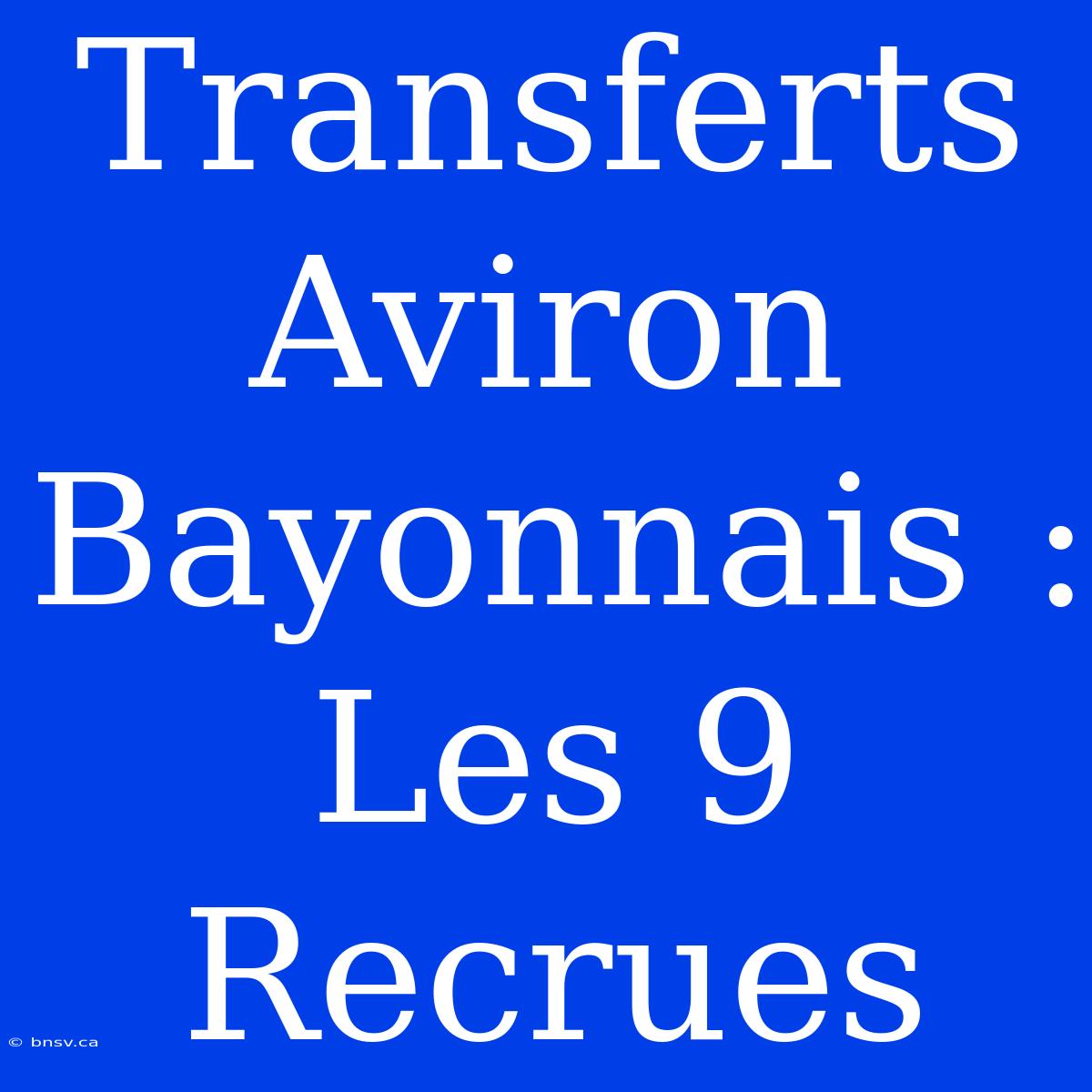 Transferts Aviron Bayonnais : Les 9 Recrues