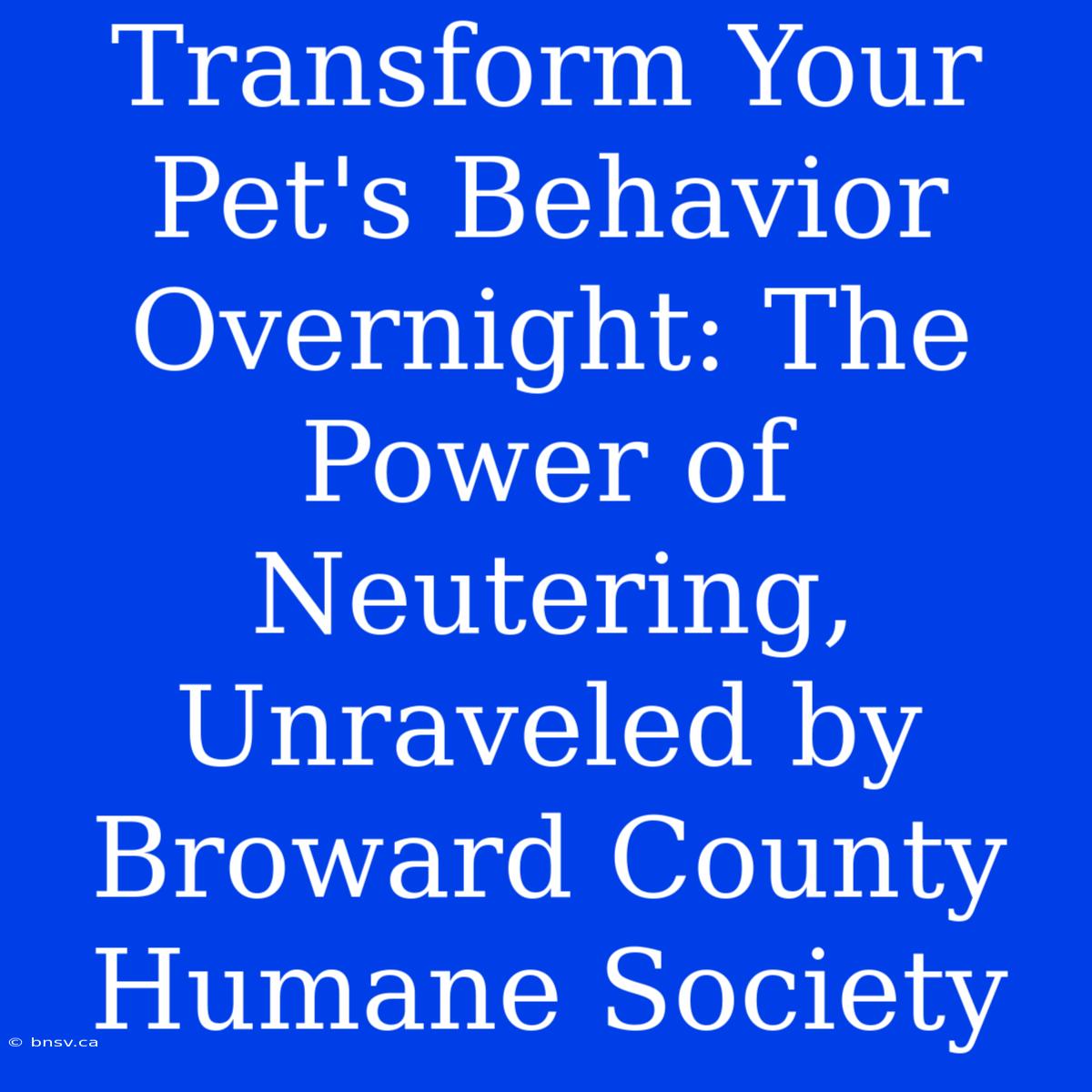 Transform Your Pet's Behavior Overnight: The Power Of Neutering, Unraveled By Broward County Humane Society