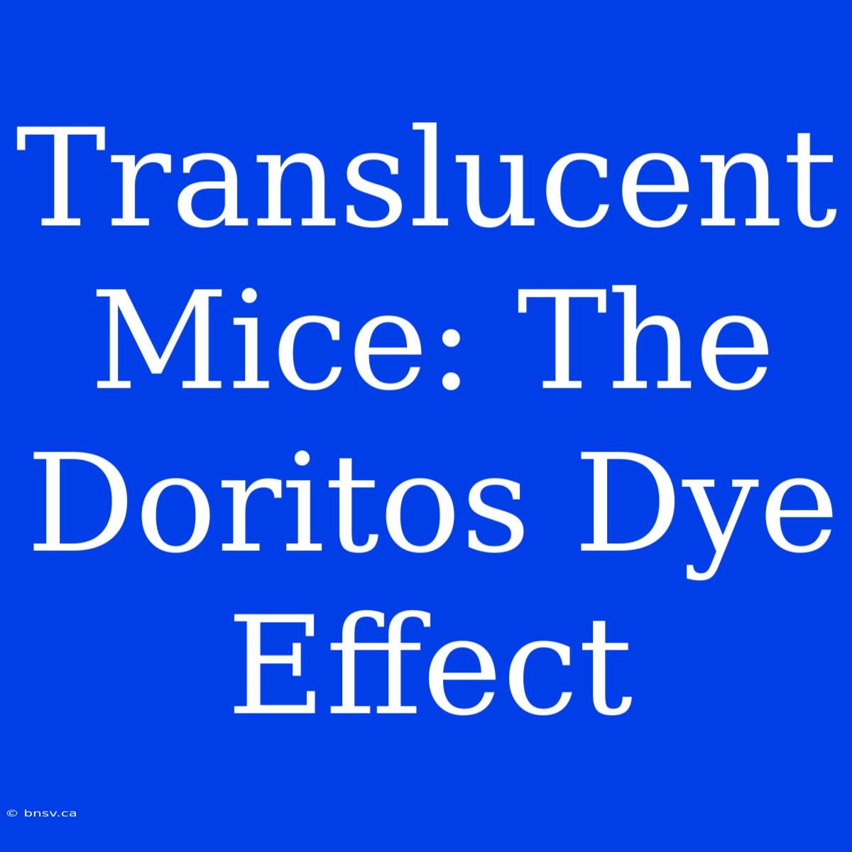 Translucent Mice: The Doritos Dye Effect