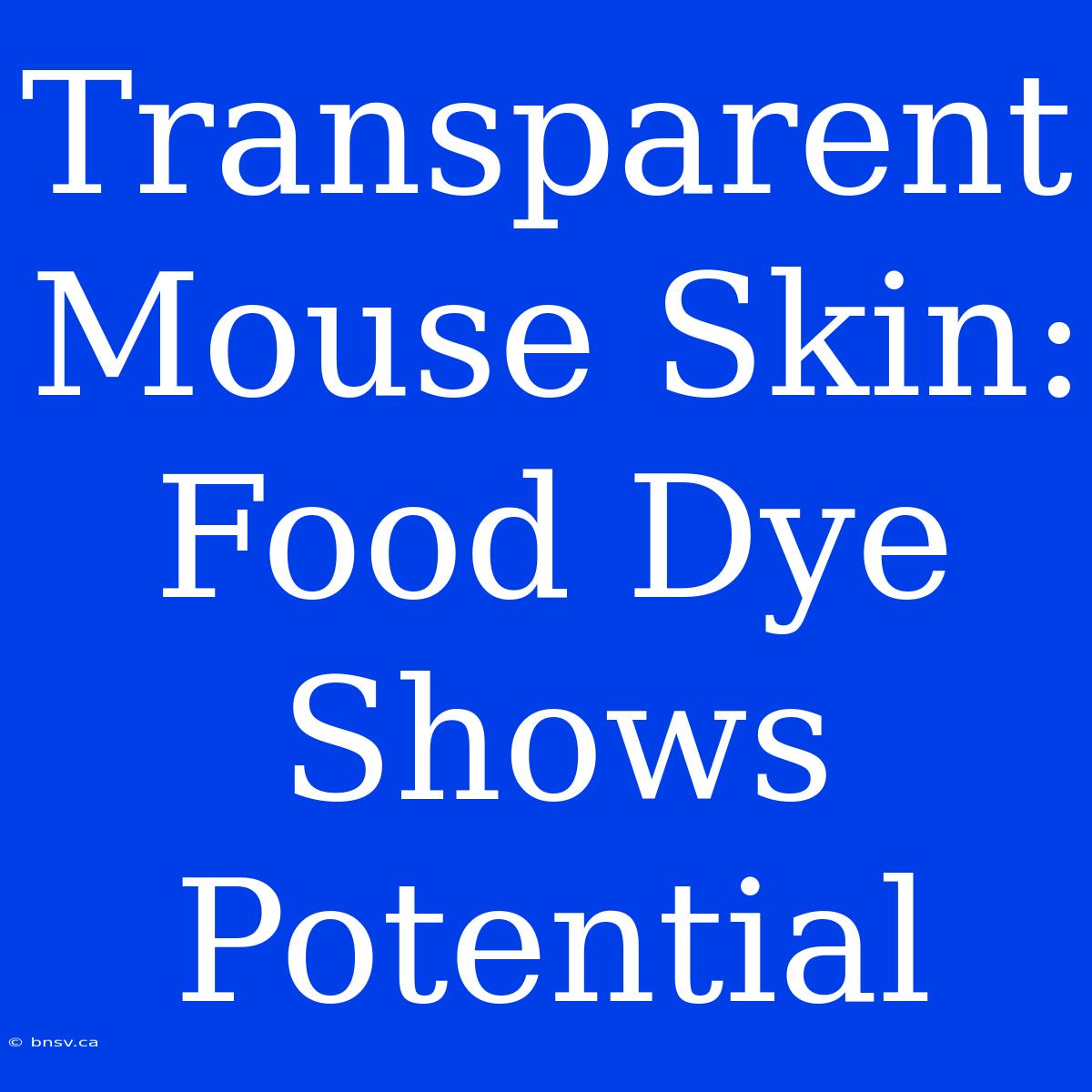 Transparent Mouse Skin: Food Dye Shows Potential