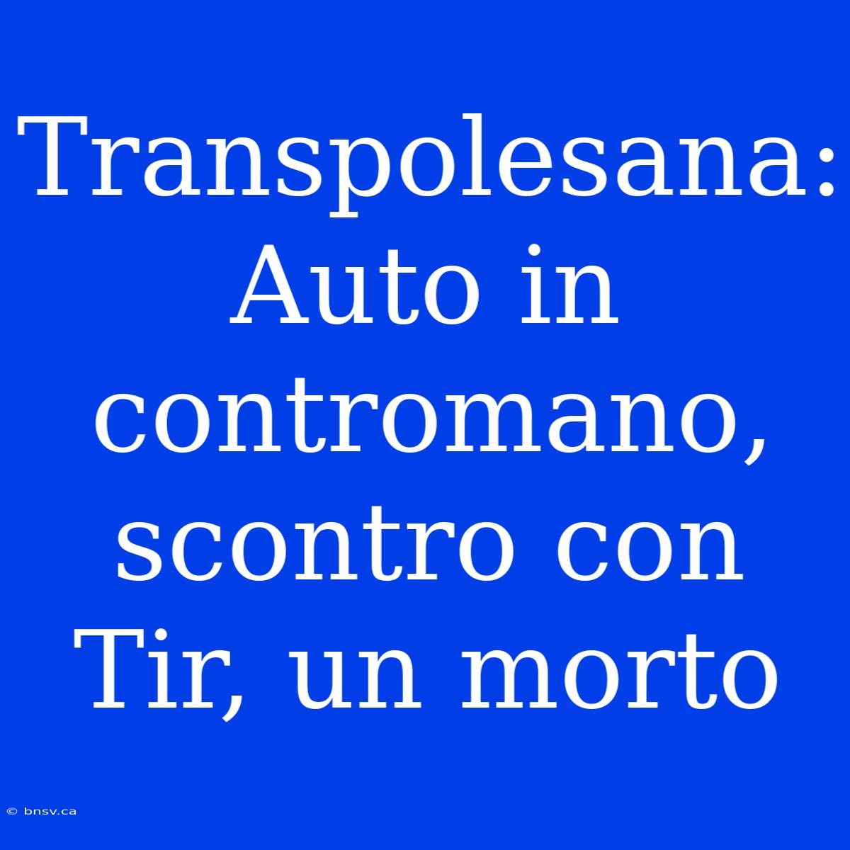 Transpolesana: Auto In Contromano, Scontro Con Tir, Un Morto