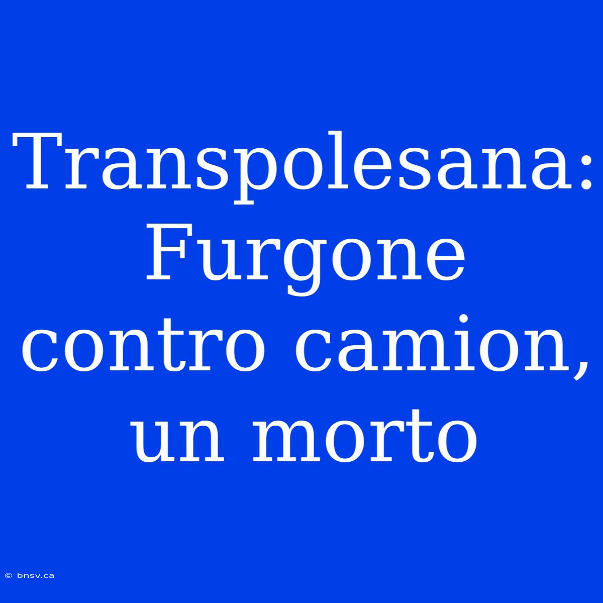 Transpolesana: Furgone Contro Camion, Un Morto