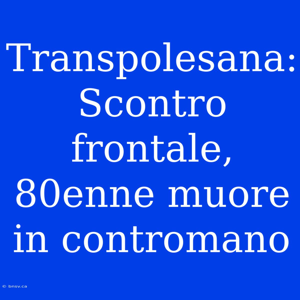 Transpolesana: Scontro Frontale, 80enne Muore In Contromano