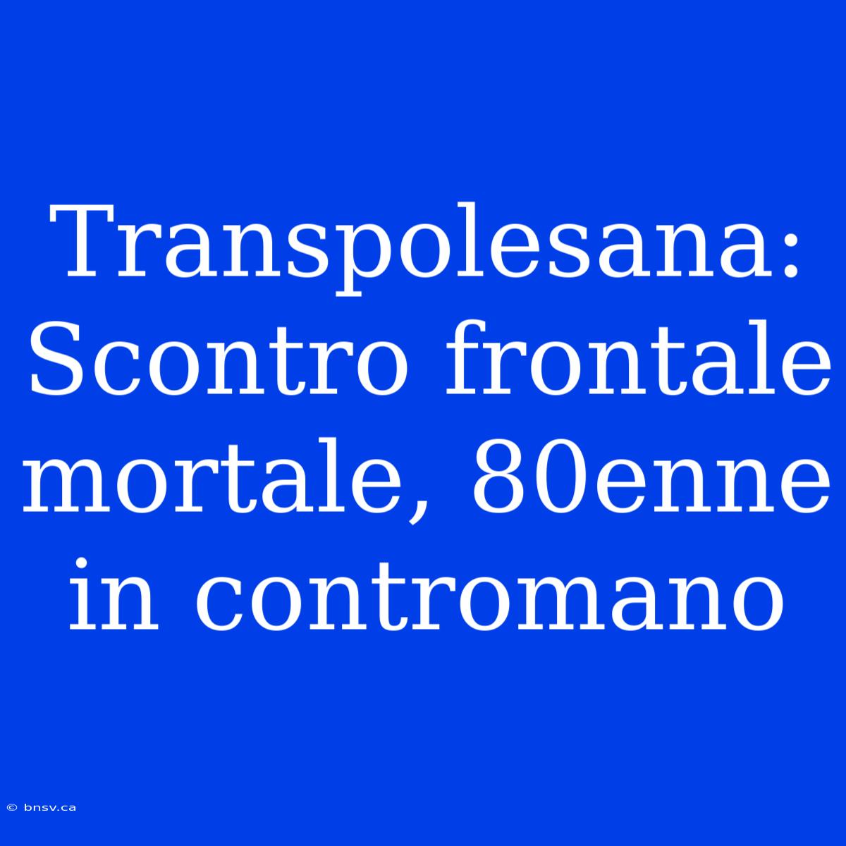 Transpolesana: Scontro Frontale Mortale, 80enne In Contromano