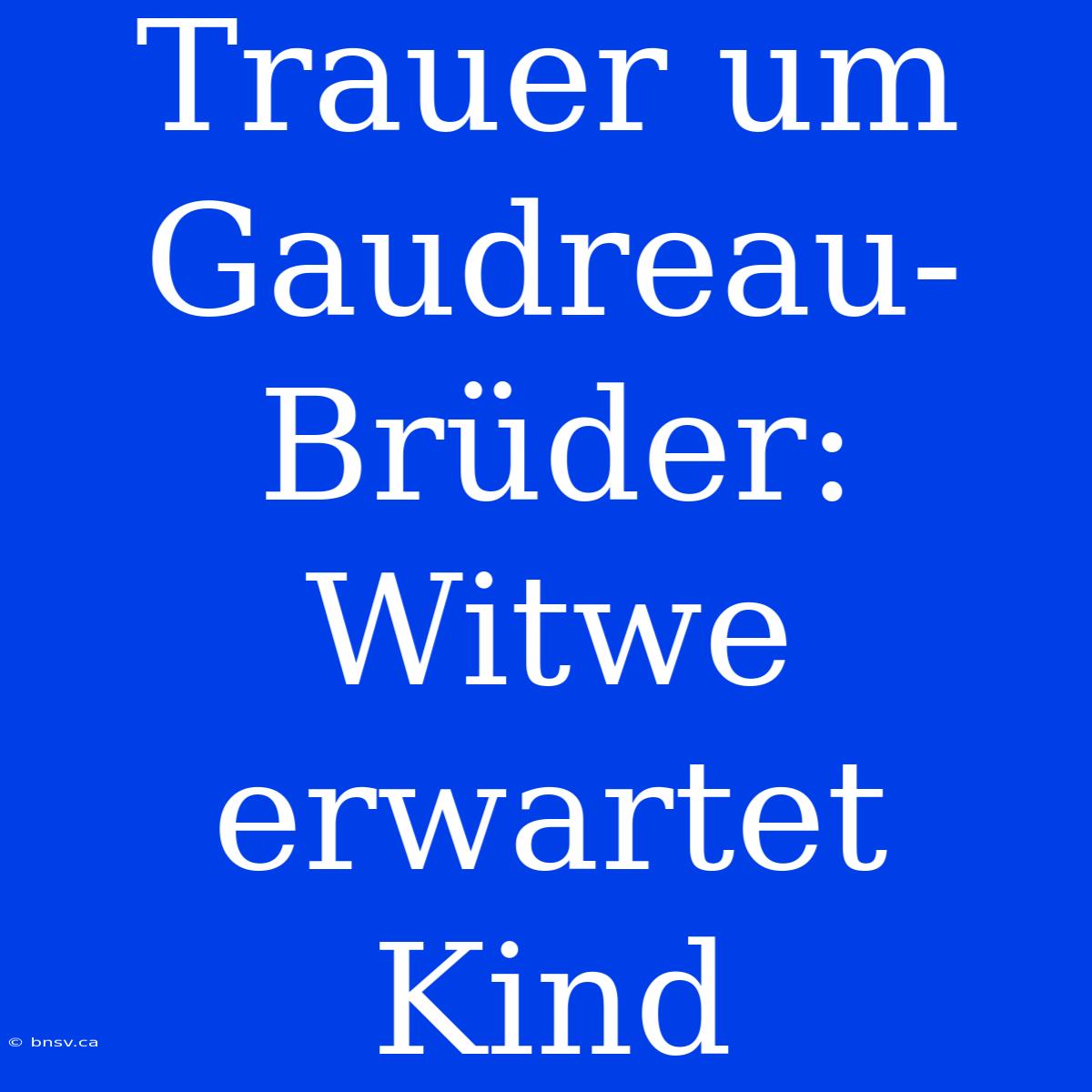 Trauer Um Gaudreau-Brüder: Witwe Erwartet Kind