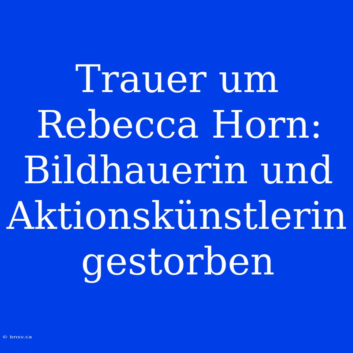 Trauer Um Rebecca Horn: Bildhauerin Und Aktionskünstlerin Gestorben