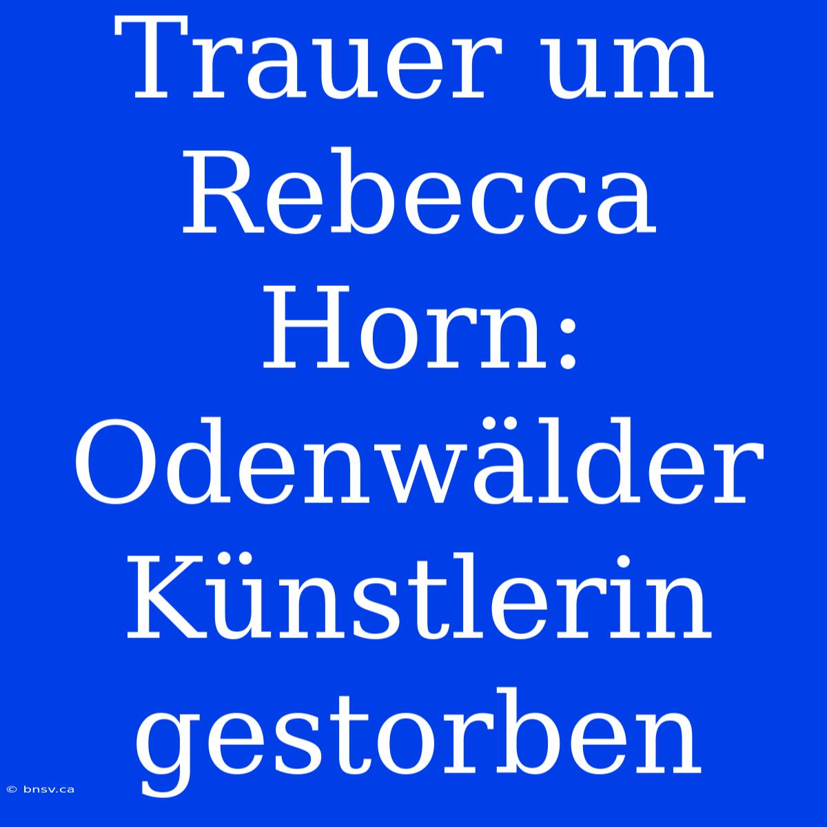 Trauer Um Rebecca Horn: Odenwälder Künstlerin Gestorben