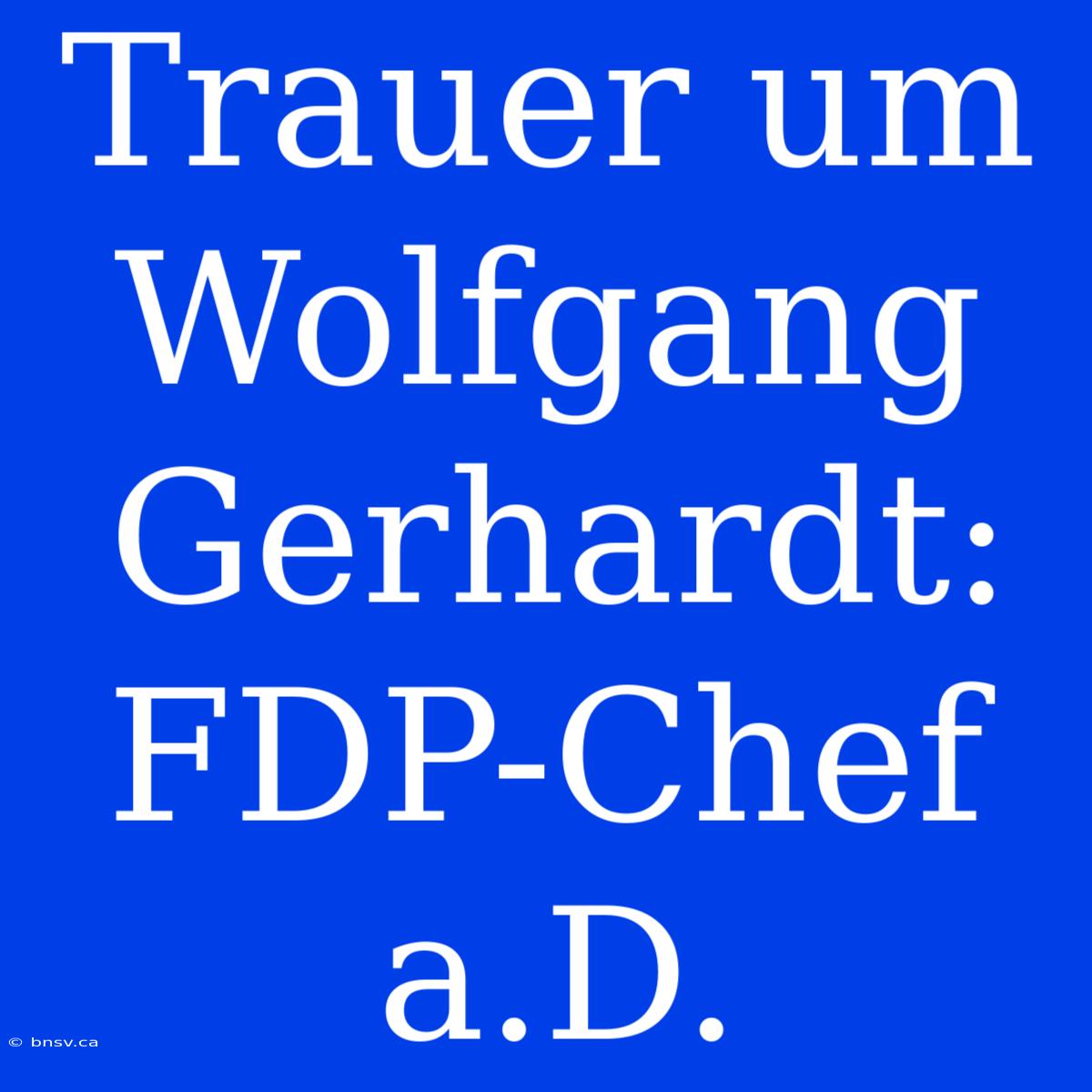 Trauer Um Wolfgang Gerhardt: FDP-Chef A.D.