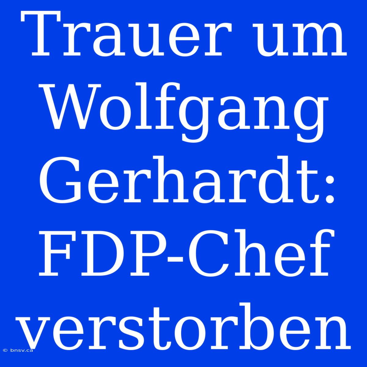 Trauer Um Wolfgang Gerhardt: FDP-Chef Verstorben